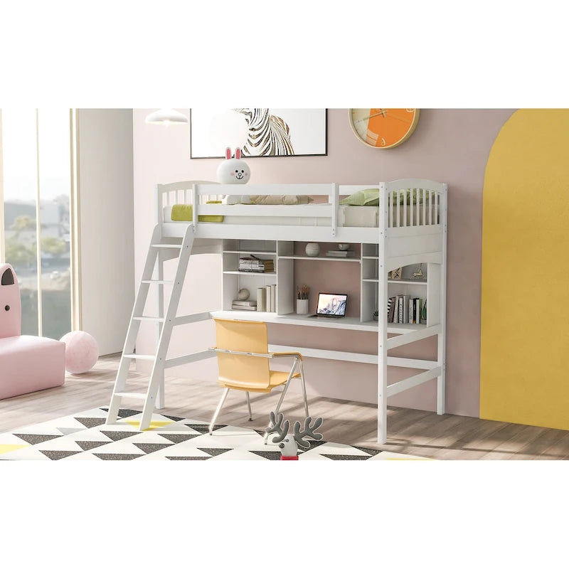 Loft Bed with Storage Shelves, Desk and Ladder